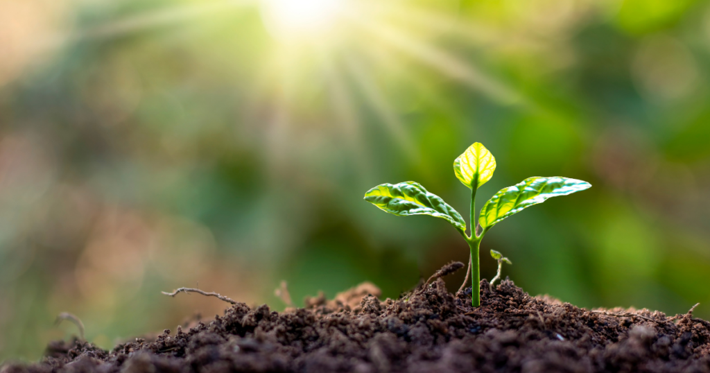 likelihood of confusion in trademark law